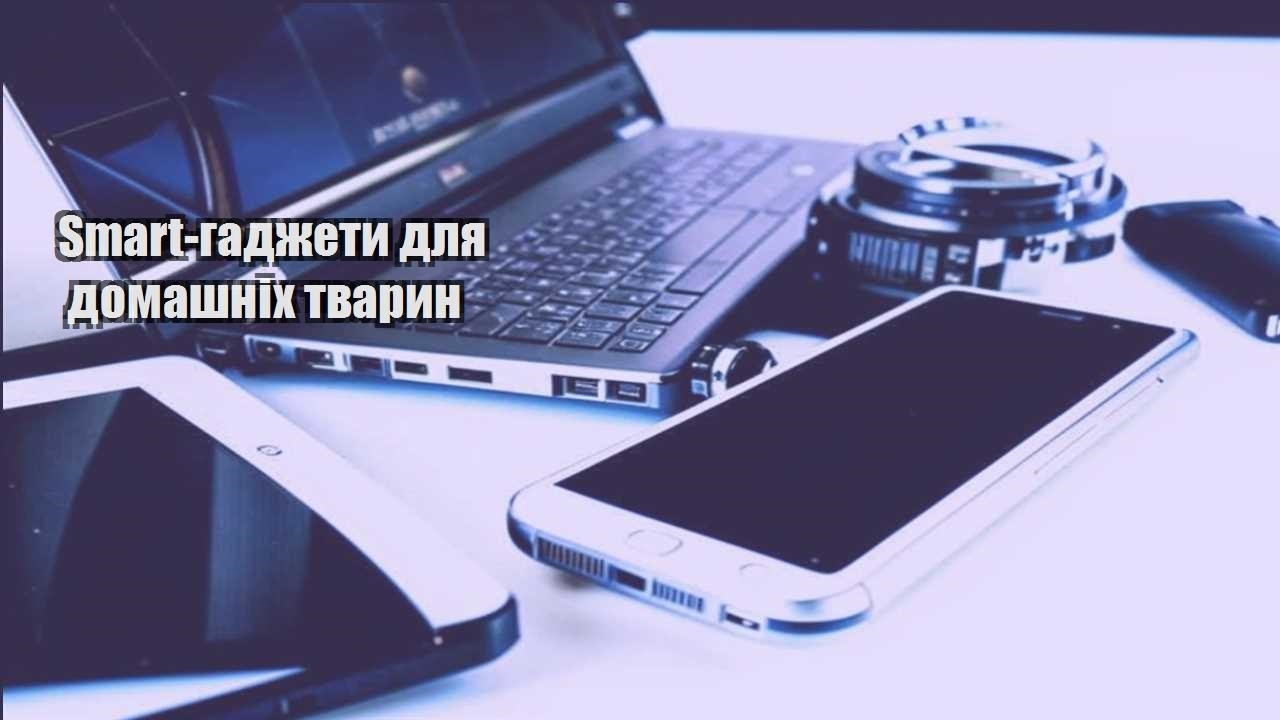 smart gadzhety dlya domashnih tvaryn